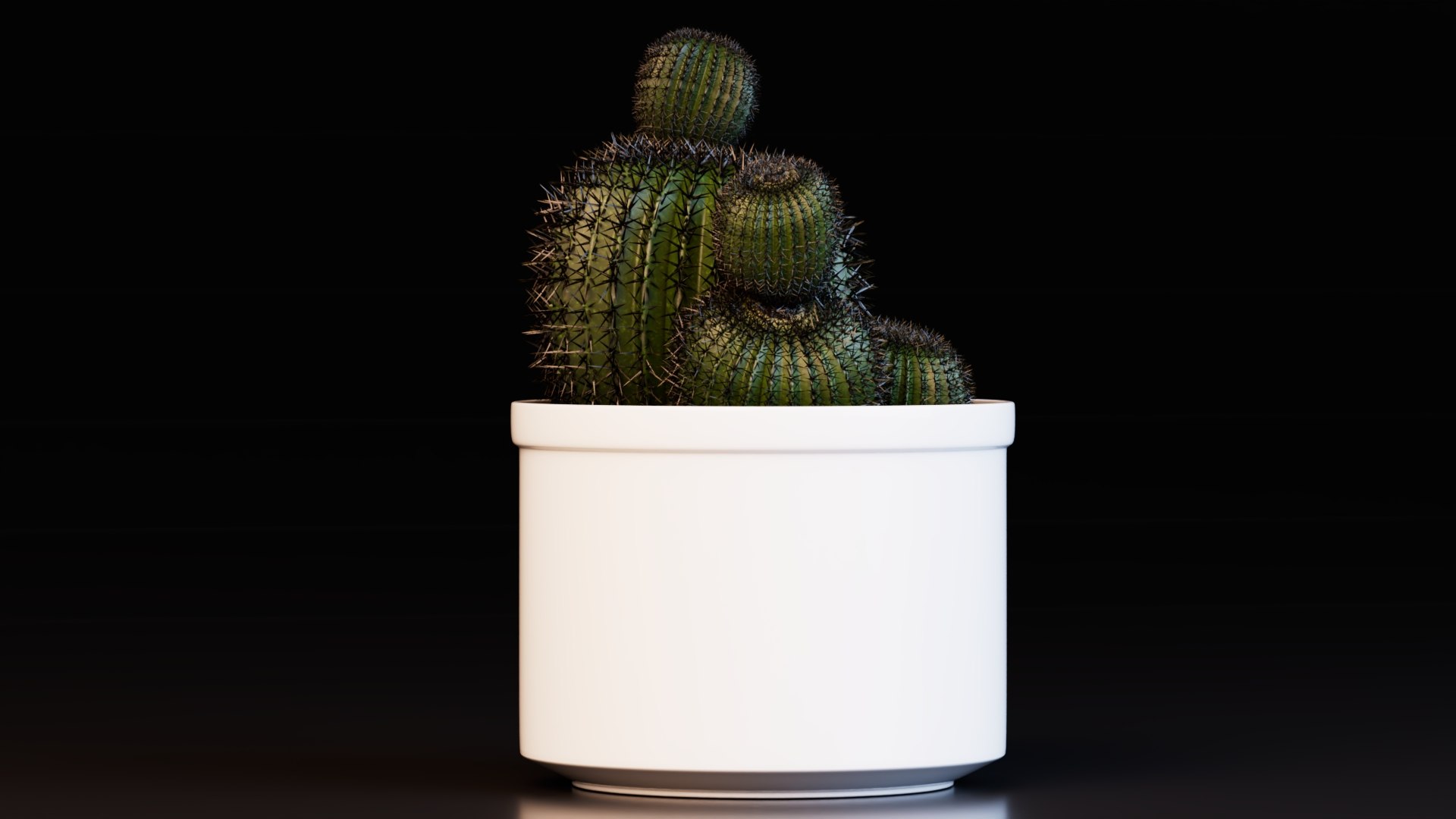 3D Potted Cactus Plants https://p.turbosquid.com/ts-thumb/CZ/Sna98u/vO/preview5/jpg/1762780522/1920x1080/fit_q87/c5ca4aee1f4ee47c606040ea3611d97ad098e790/preview5.jpg