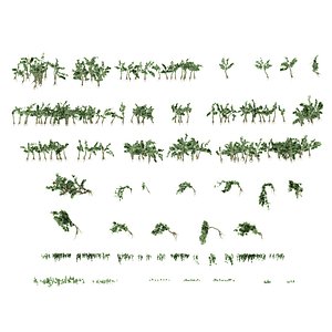 Animated jungle LP PACK 300 model