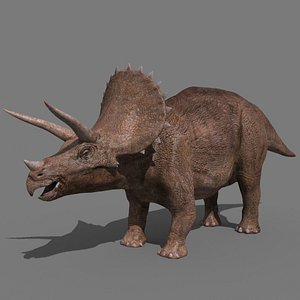 3D Triceratops Tribute - 8K