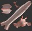 3D Real Primitive Axe Bone Yaw-Wood 3D Model