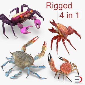 3D rigged crabs model