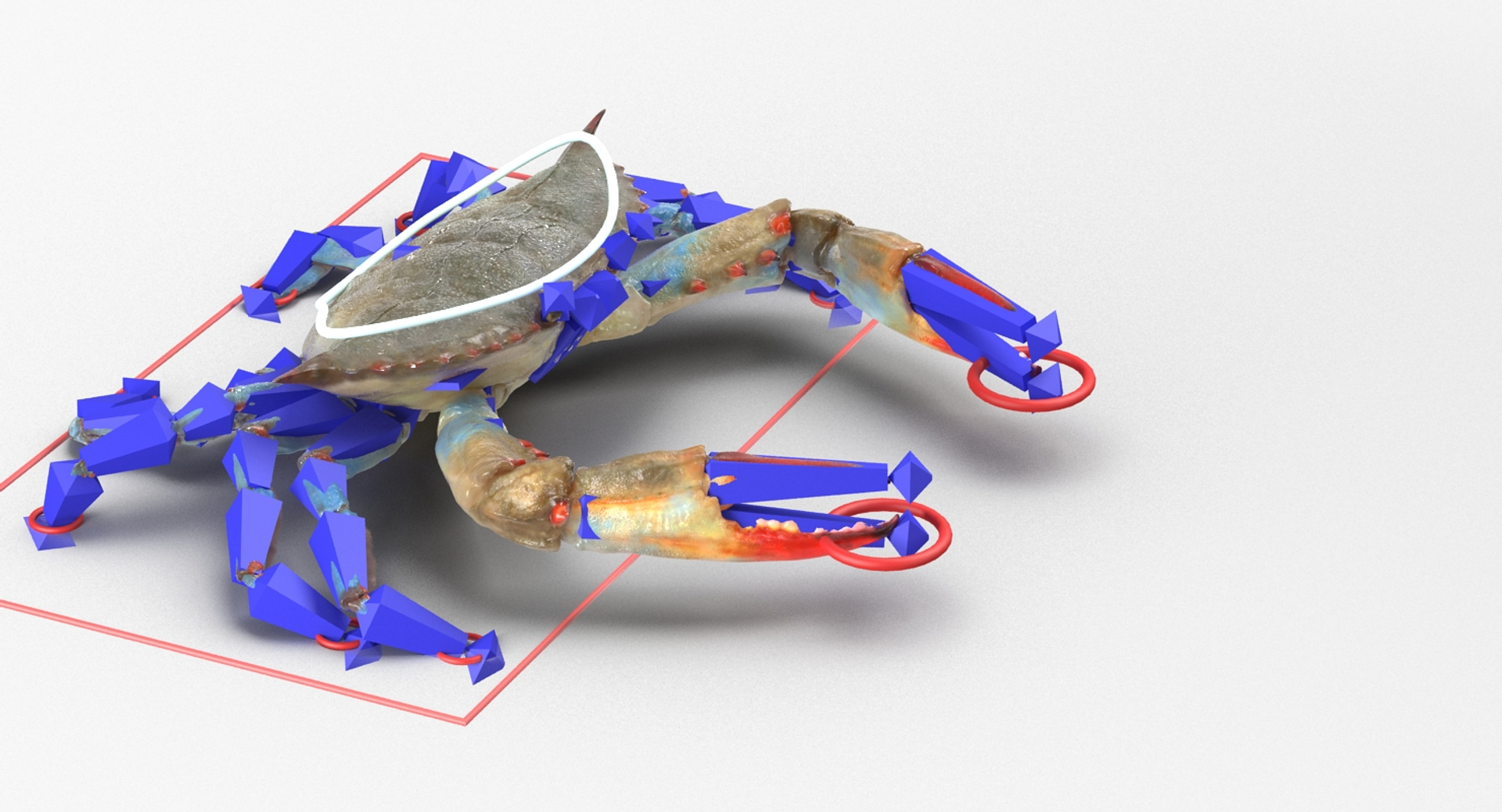 3D Rigged Crabs Model - TurboSquid 1183994