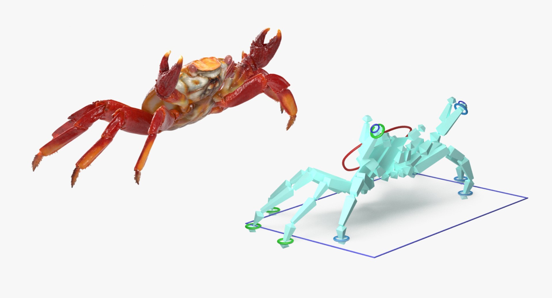 3D Rigged Crabs Model - TurboSquid 1183994