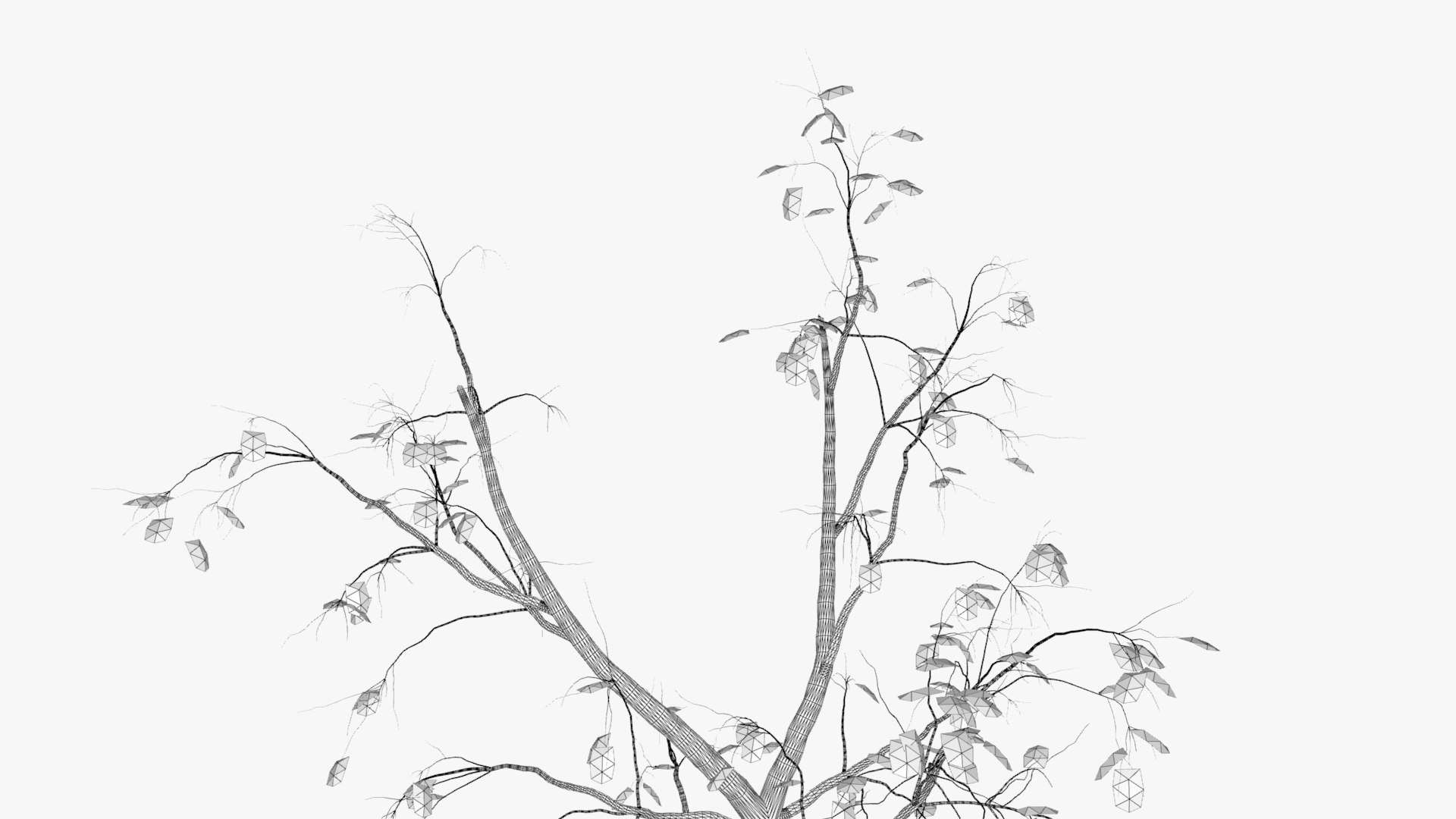 quince winter hight model https://p.turbosquid.com/ts-thumb/CZ/zbcSa7/V42NsWdp/w2/jpg/1601573314/1920x1080/fit_q87/a8513db6955e2dca194c9f2b1850506eb51cea20/w2.jpg