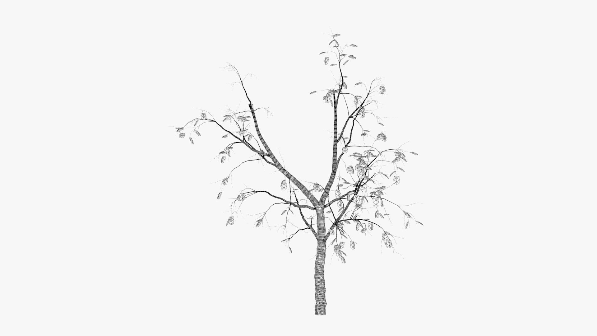 quince winter hight model https://p.turbosquid.com/ts-thumb/CZ/zbcSa7/mUAszjJs/w1/jpg/1601573314/1920x1080/fit_q87/2582dc20c9c35abb697f3547fa70bc12ddc431c2/w1.jpg