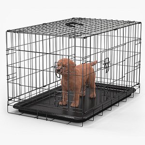 3D Brown Labrador Retriever Puppy in Cage Fur model