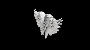 Angel Wings Overlapping Feather Structure 3D model