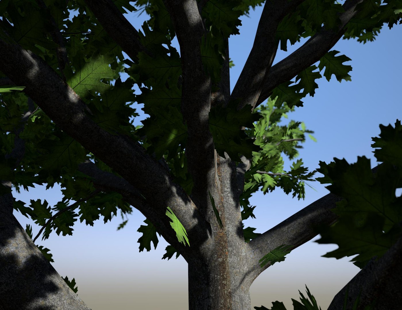 3D Quercus palustris Pin Oak early defoliating model https://p.turbosquid.com/ts-thumb/Ca/Gju5UA/8B/pinoak4/jpg/1727797374/1920x1080/fit_q87/fb5b3a67c496efc82ce3ca1139f4d71b96a06caf/pinoak4.jpg