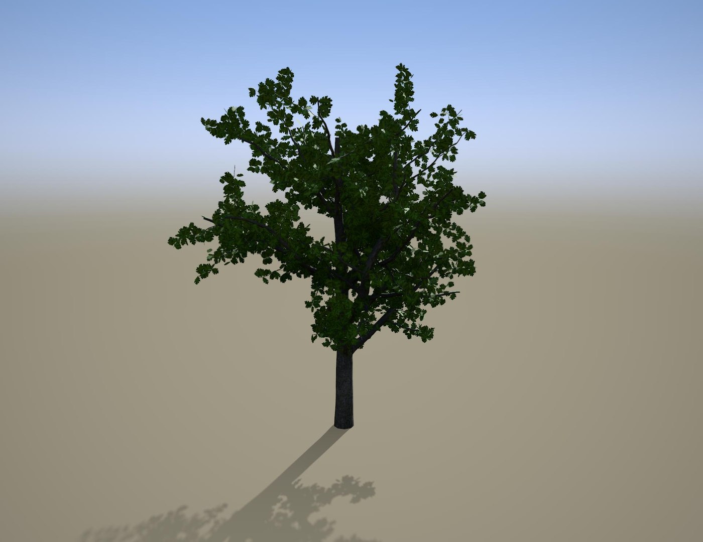 3D Quercus palustris Pin Oak early defoliating model https://p.turbosquid.com/ts-thumb/Ca/Gju5UA/Jj/pinoak1/jpg/1727797372/1920x1080/fit_q87/791257ca100d6afad4b12c7640b466530aa47437/pinoak1.jpg