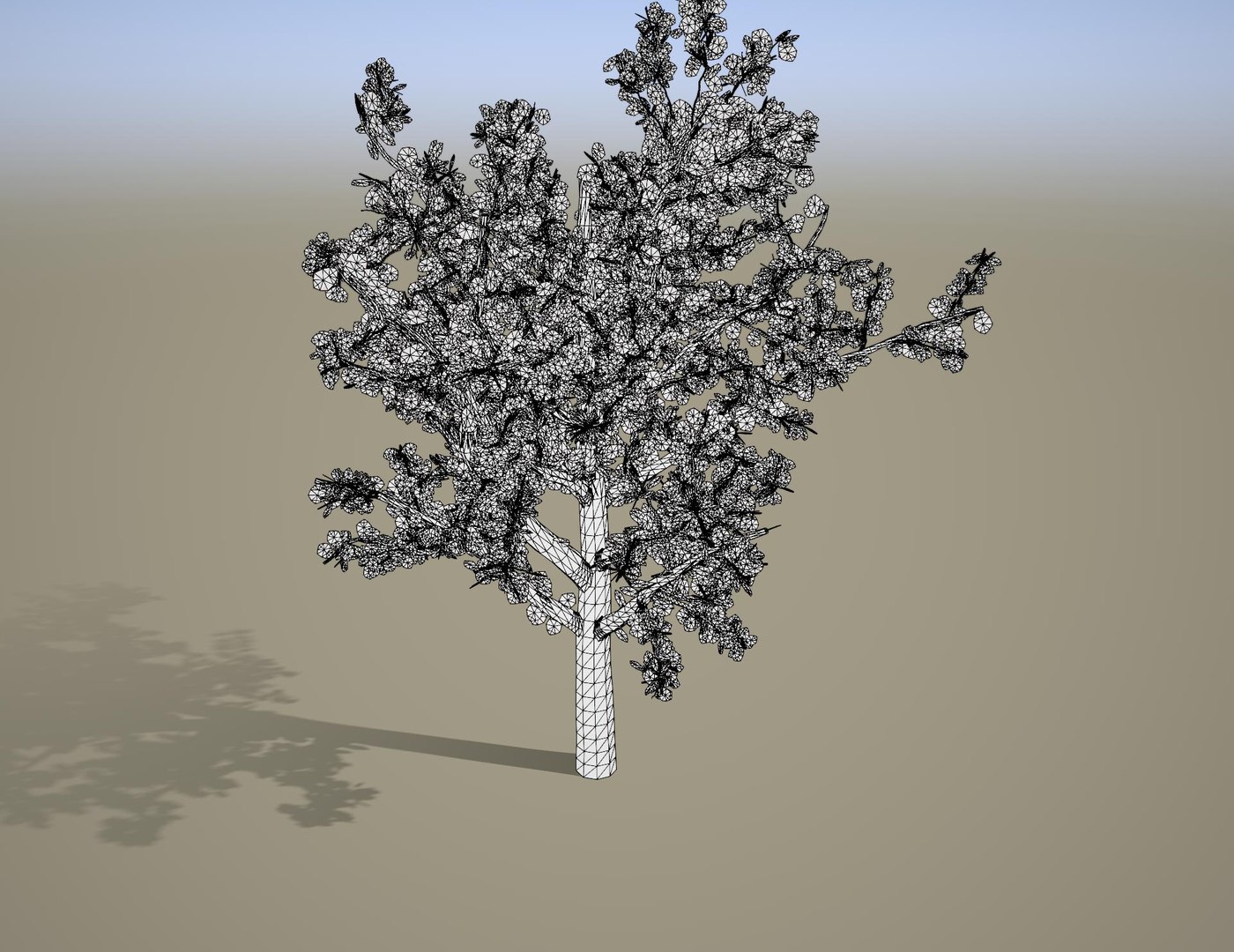 3D Quercus palustris Pin Oak early defoliating model https://p.turbosquid.com/ts-thumb/Ca/Gju5UA/ej/wireframe/jpg/1727797376/1920x1080/fit_q87/39c10ee8f3f23f75d1fae1975376a671e7e8687b/wireframe.jpg