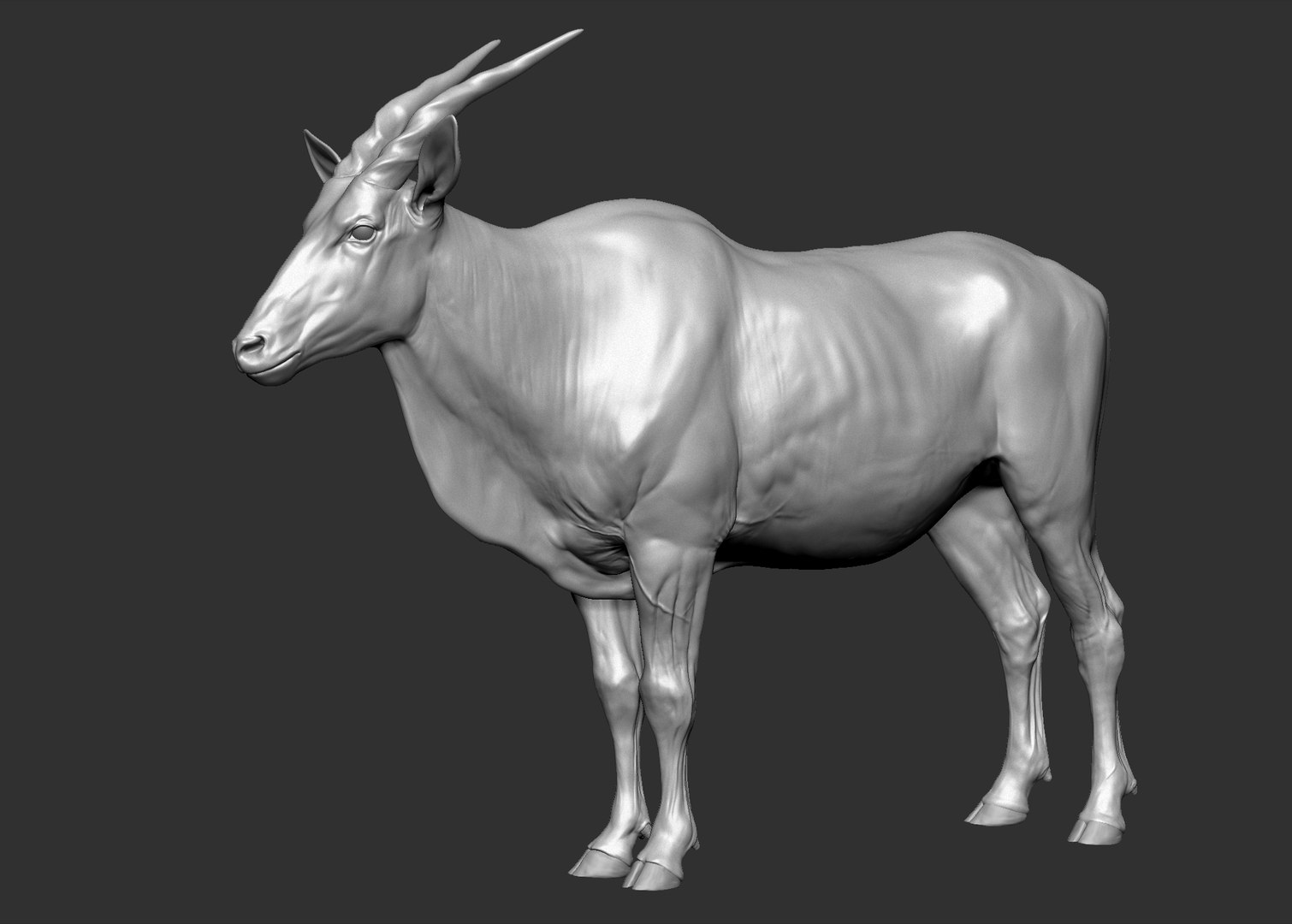 Common Eland Taurotragus Oryx 3D Model - TurboSquid 1442756