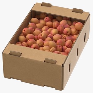 Cardboard Display Box 01 with Apricots Game Ready(1)