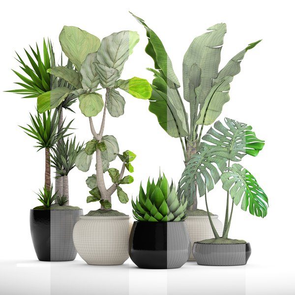 3D plants - TurboSquid 1167019