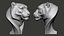 3D snow leopard bust animal model