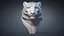 3D snow leopard bust animal model