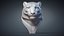 3D snow leopard bust animal model