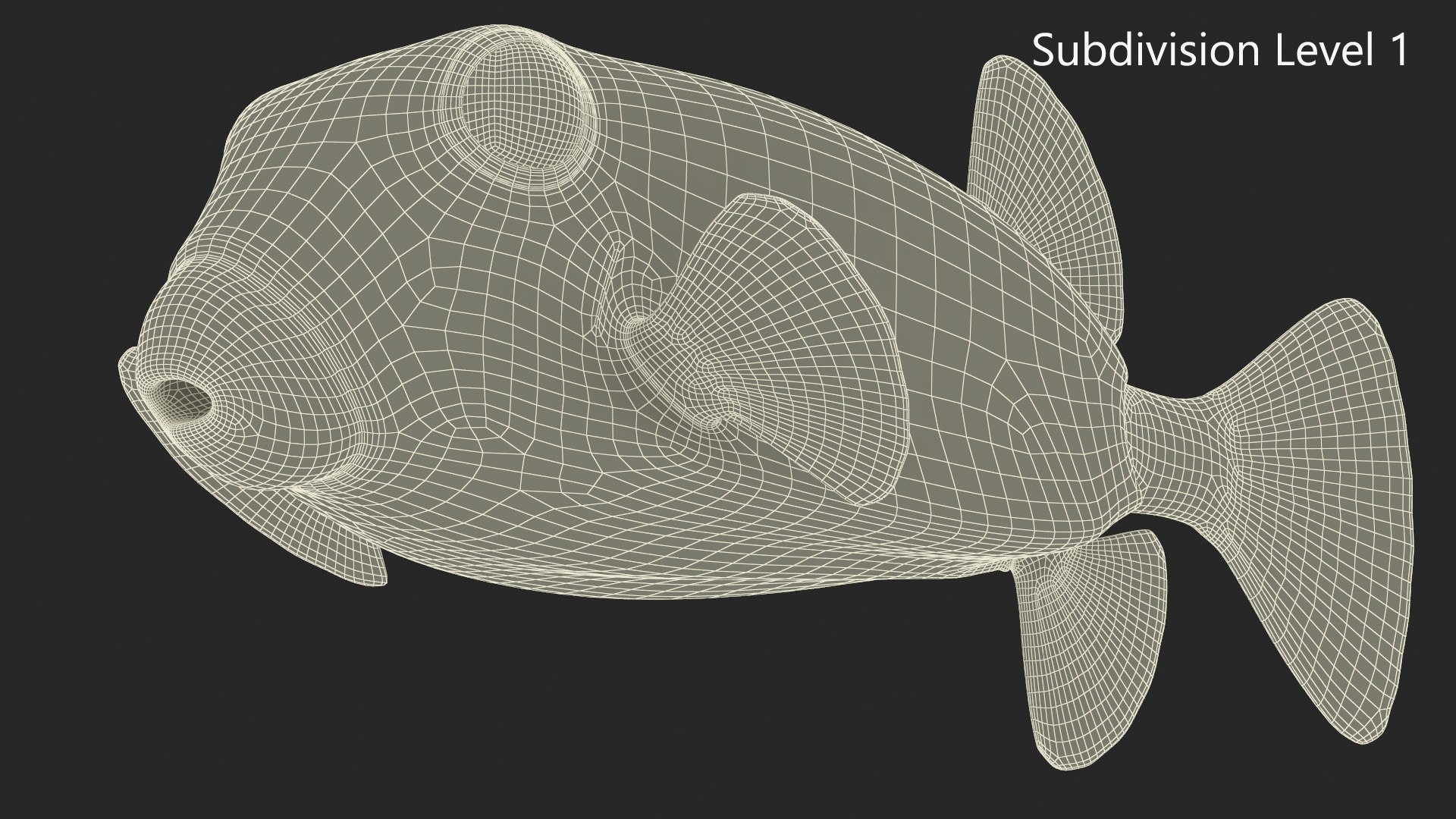 3D Ostracion Meleagris Fish Brown Rigged for Maya model https://p.turbosquid.com/ts-thumb/Ca/cBjMRq/XV/ostracion_meleagris_fish_brown_rigged_019/jpg/1739482069/1920x1080/fit_q87/6b1f3ecc5b46c164f478acad8b3693975df5ab8b/ostracion_meleagris_fish_brown_rigged_019.jpg