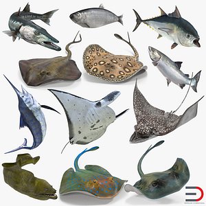 Fishes Rigged 3D Models Collection