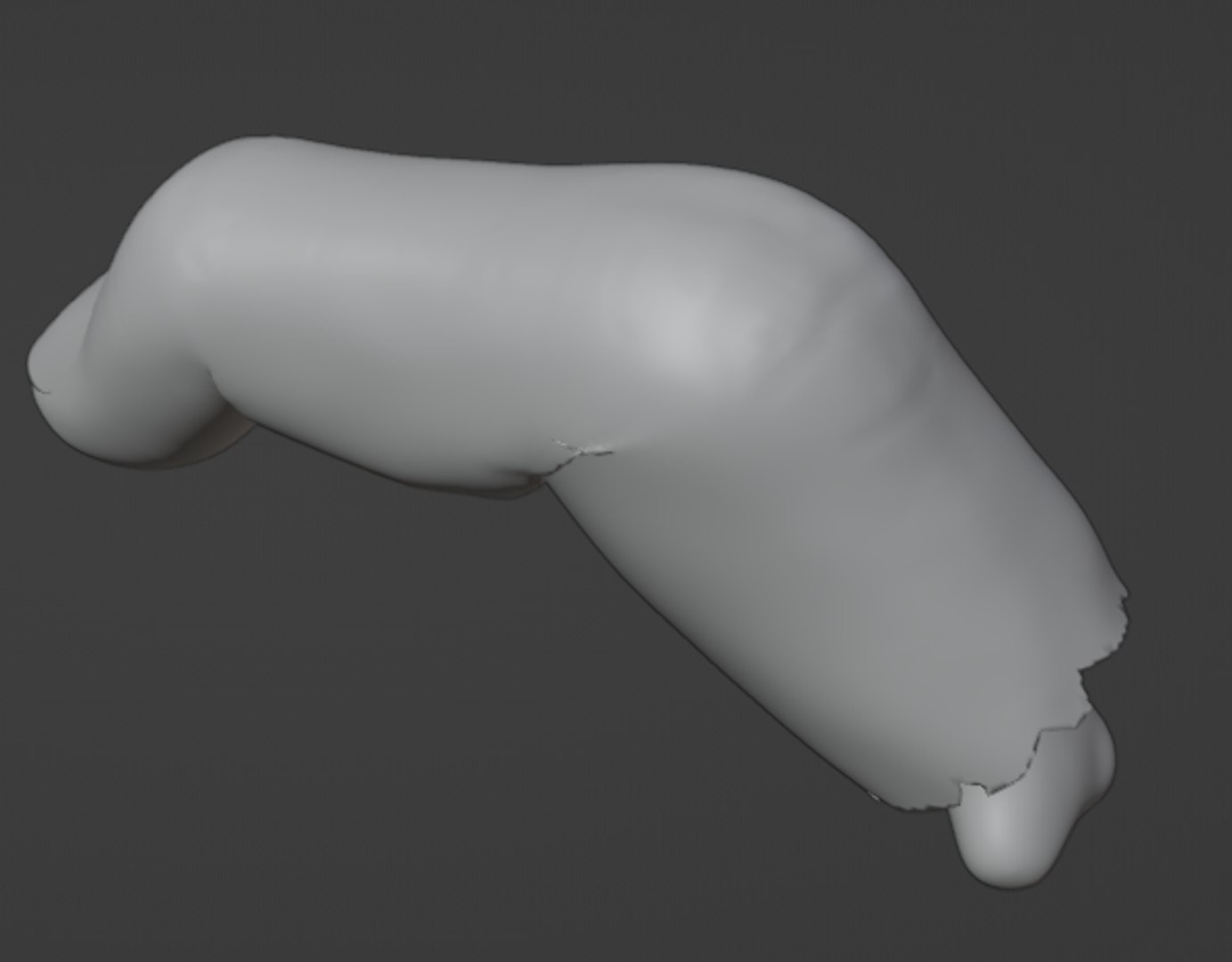 3D Severed and broken finger https://p.turbosquid.com/ts-thumb/Ca/en94kM/Pb/35/png/1666378208/1920x1080/fit_q87/81da8c7a1d619281b429f9be59d7401547a48b10/35.jpg