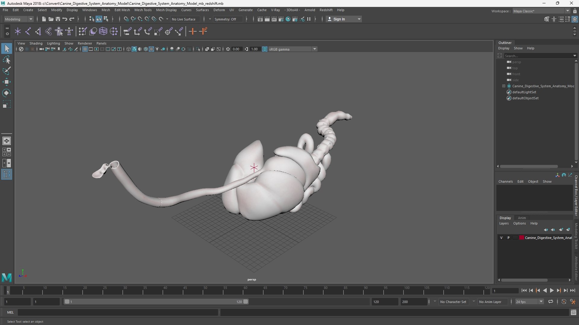 3D model Canine Digestive System Anatomy Model https://p.turbosquid.com/ts-thumb/Ca/fLvOMP/hr/canine_digestive_system_anatomy_model_1002/jpg/1775799894/1920x1080/fit_q87/682184ace72ae31e46a564e7f5878b172a261ba7/canine_digestive_system_anatomy_model_1002.jpg