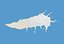 Milk Splash Curve 3D model