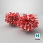 Cheerleading Pom Poms Pair Red