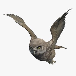 3D model Bubo the Owl VR / AR / low-poly