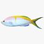Bartletts Anthias