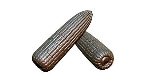 maize for 3D printing