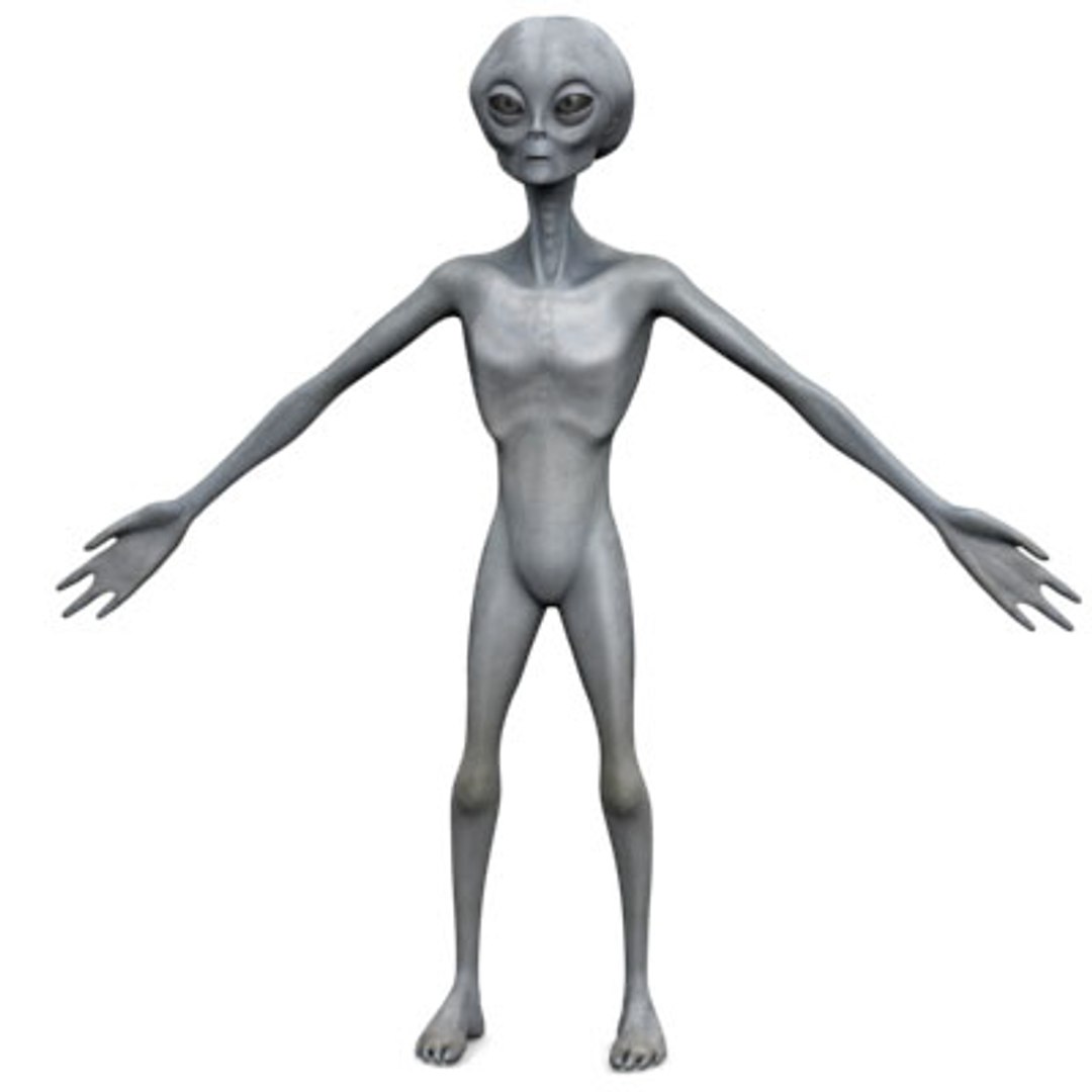 Grey Alien 3d Model