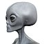 grey alien 3d model