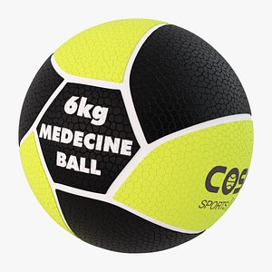 EIGHT PANNEL MEDICINE BALL
