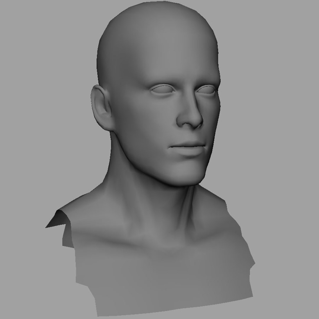 3d male head