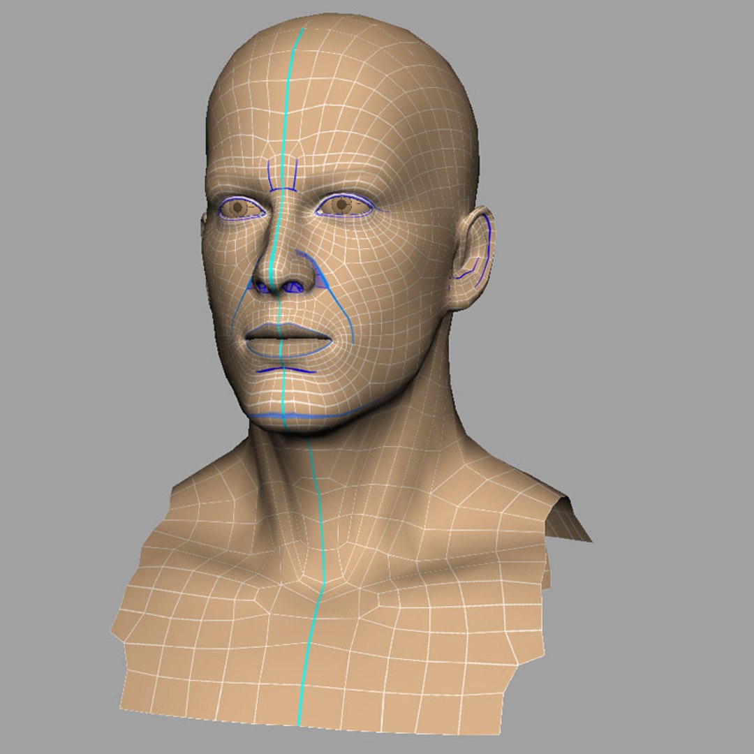 3d male head