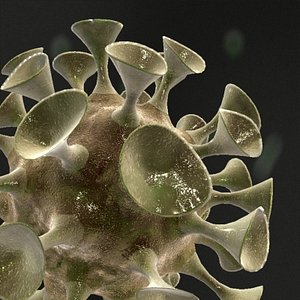 HIV Cell