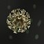 HIV Cell