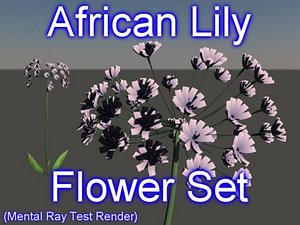 3d model set african lily flowers