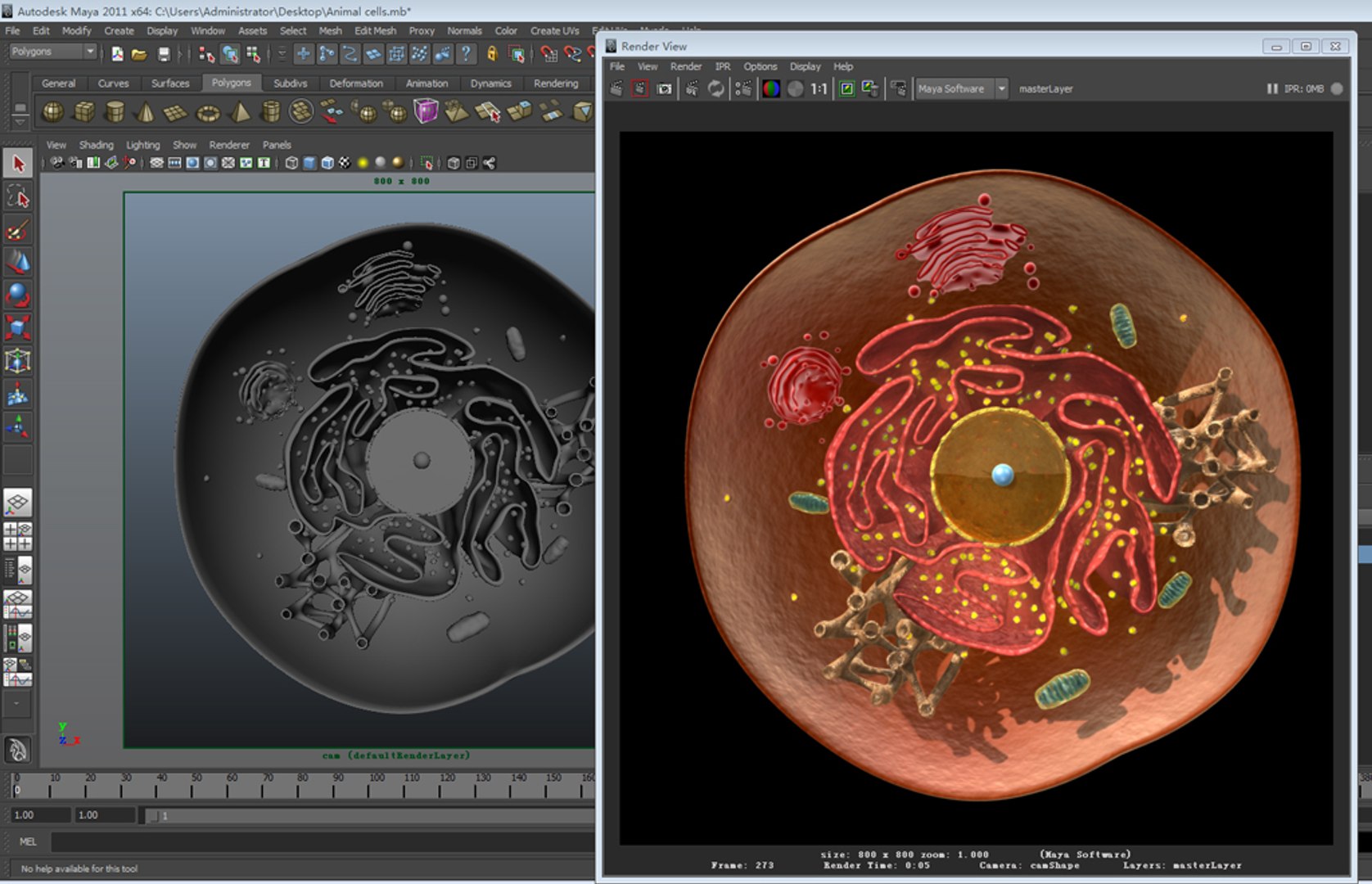 3d model of animal cell https://p.turbosquid.com/ts-thumb/Cc/1ejEab/84jqjTxZ/2a/jpg/1488127638/1920x1080/fit_q87/a85fe9568ae9284aa32a2f133ca39d3ad93726e2/2a.jpg