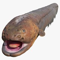 Electric Eel