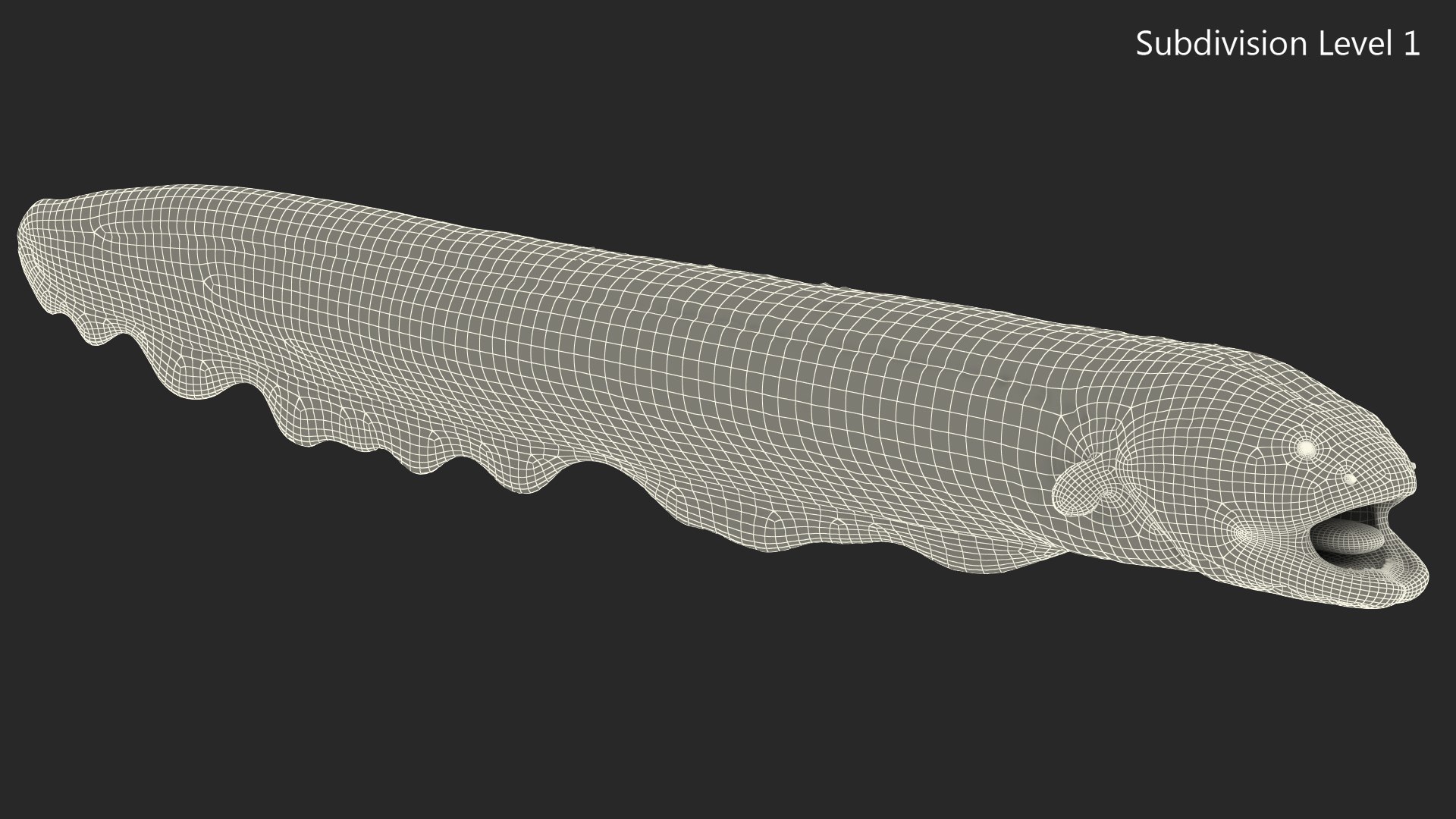 3D electric eel - TurboSquid 1486494