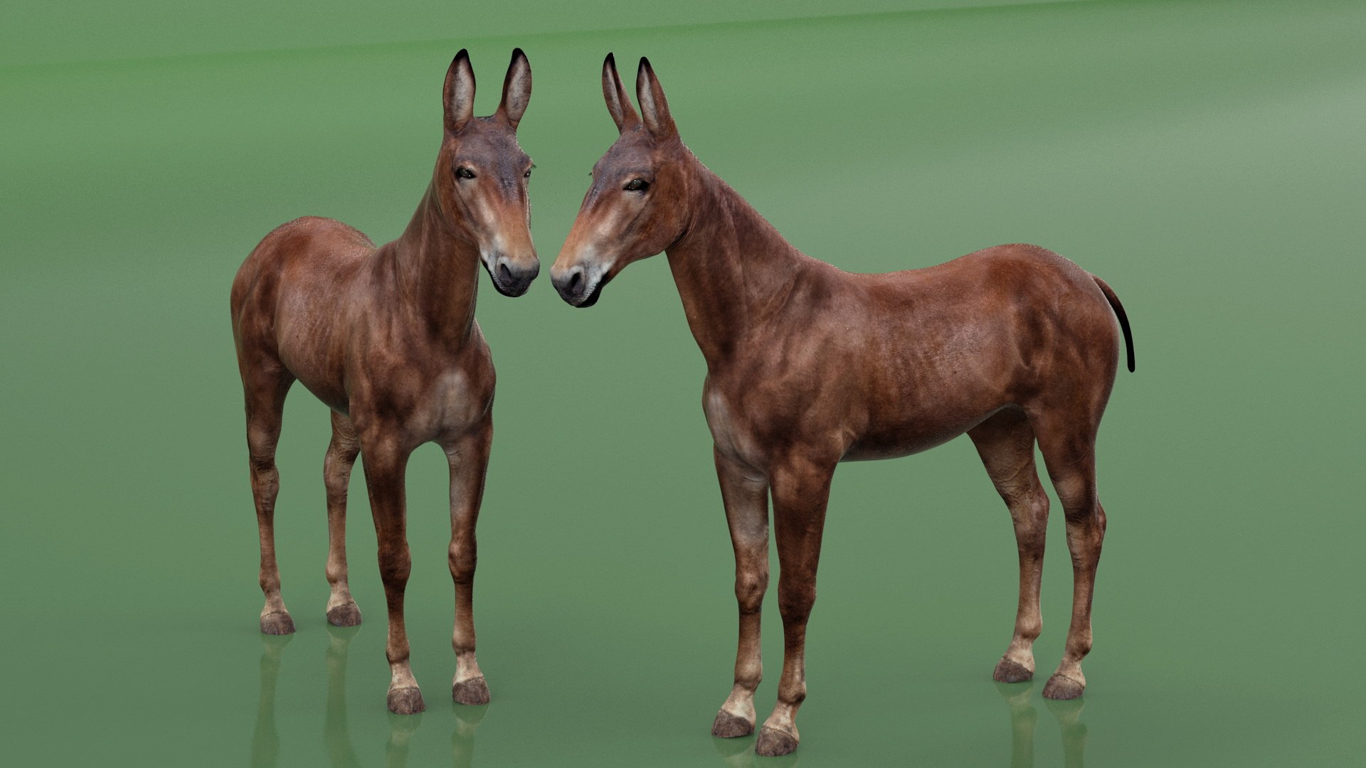 Mule Dark 3D https://p.turbosquid.com/ts-thumb/Cc/5gWLMU/7h/muledarkmb3dmodel005/jpg/1726016341/1920x1080/fit_q87/06d9a9ce5ecf9fe09ebe27d95ccee5f46c1249fa/muledarkmb3dmodel005.jpg