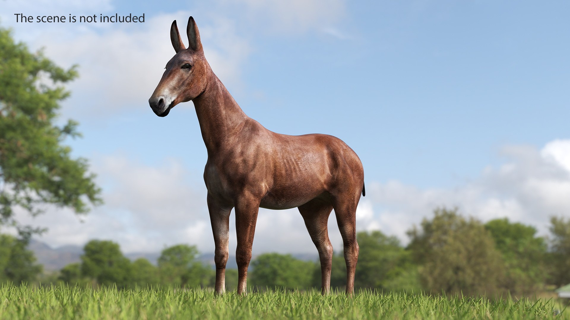 Mule Dark 3D https://p.turbosquid.com/ts-thumb/Cc/5gWLMU/J3/muledarkmb3dmodel003/jpg/1726016333/1920x1080/fit_q87/5af365d5a75705bdc3adef1d5c535c5f8407b12e/muledarkmb3dmodel003.jpg