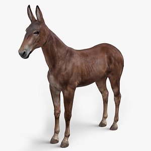Mule Dark 3D