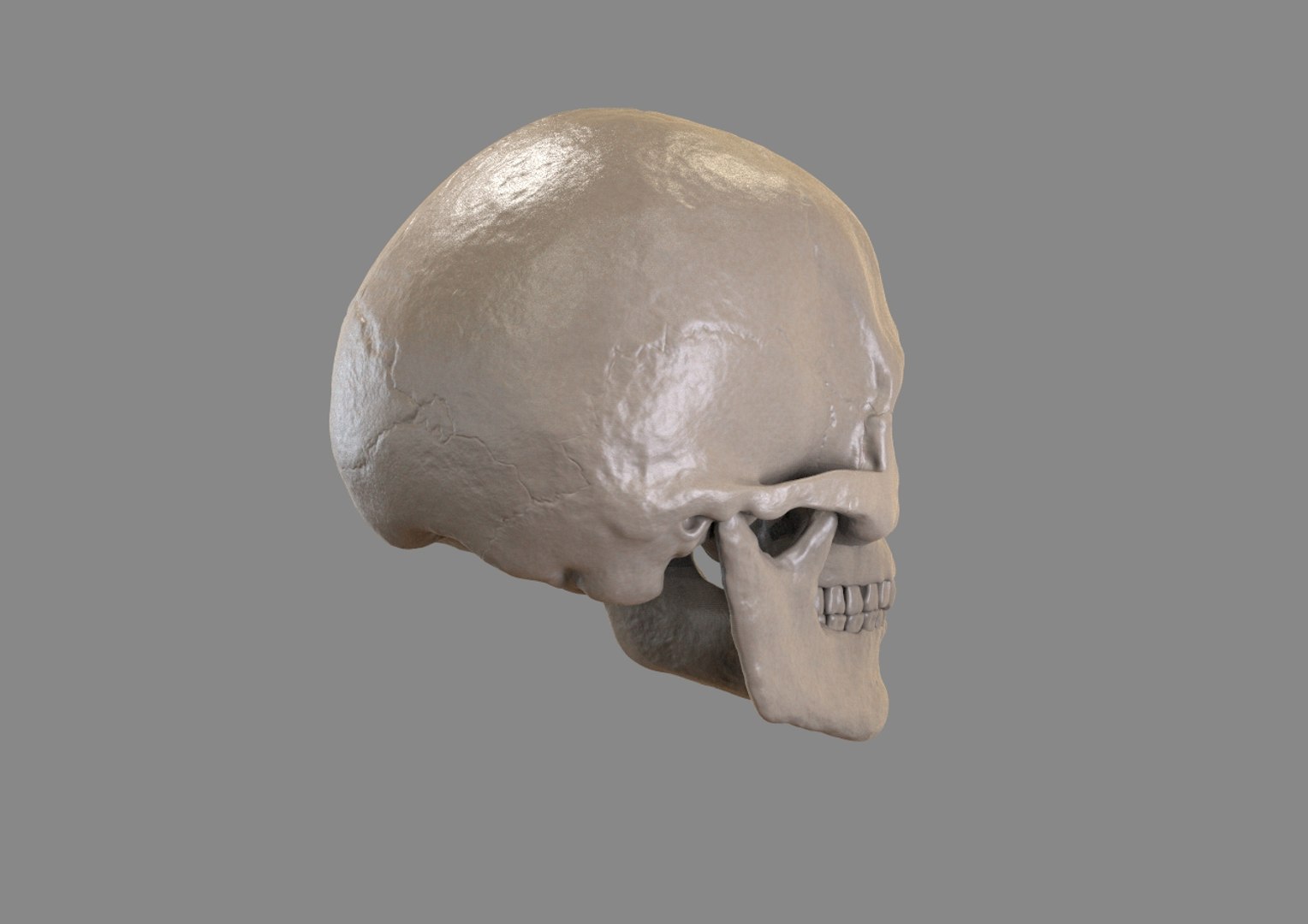 zbrush skull 3d model https://p.turbosquid.com/ts-thumb/Cc/6lkFo5/6cbTyB3a/k4/jpg/1417822733/1920x1080/fit_q87/4001bf95ed9550cd87b6e732b630a57a62c5b5b4/k4.jpg