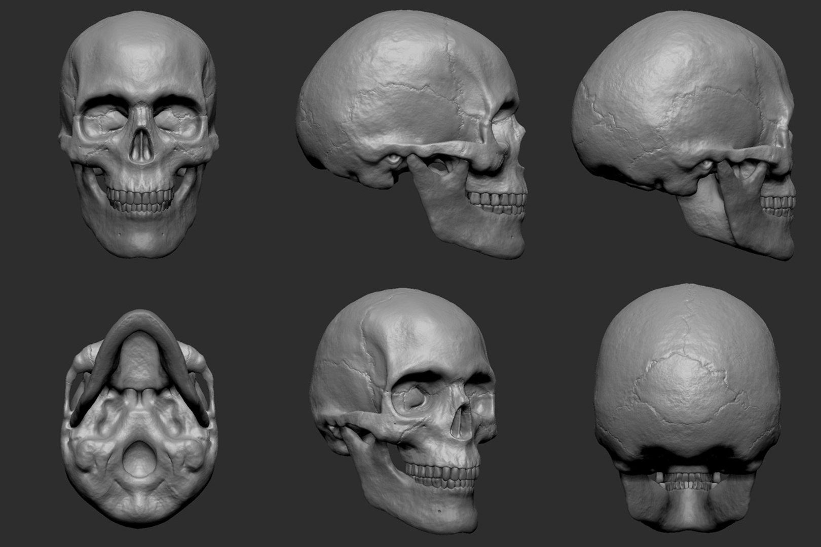 zbrush skull 3d model https://p.turbosquid.com/ts-thumb/Cc/6lkFo5/Tc5rc5pH/skull_bnw/jpg/1417822733/1920x1080/fit_q87/f3c8bfe301620e7ccf3442f530ef3fd9a01a94ff/skull_bnw.jpg