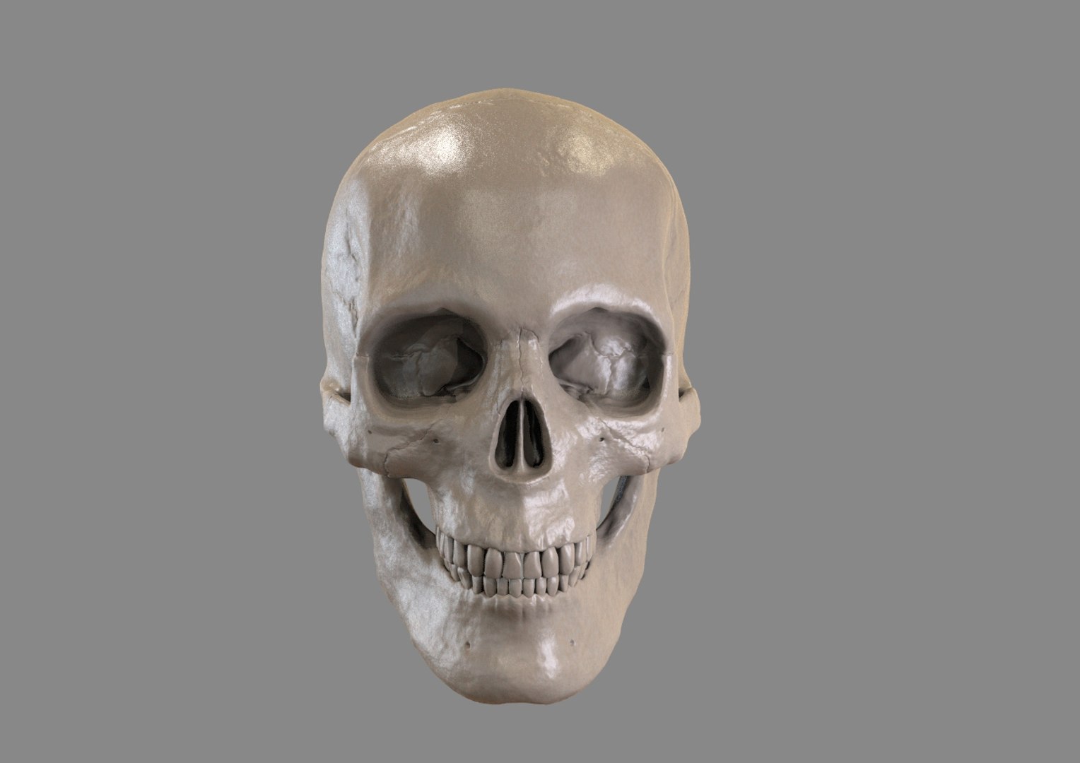 zbrush skull 3d model https://p.turbosquid.com/ts-thumb/Cc/6lkFo5/iikDngST/k3/jpg/1417822733/1920x1080/fit_q87/aa00523fa493e0a0b16b6c6e0251a767934f51bc/k3.jpg