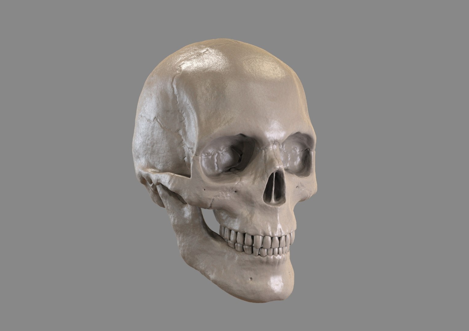 zbrush skull 3d model https://p.turbosquid.com/ts-thumb/Cc/6lkFo5/izDl9Eyl/k1/jpg/1417822733/1920x1080/fit_q87/99cc367053c78d77beff47049708af6d022d138f/k1.jpg