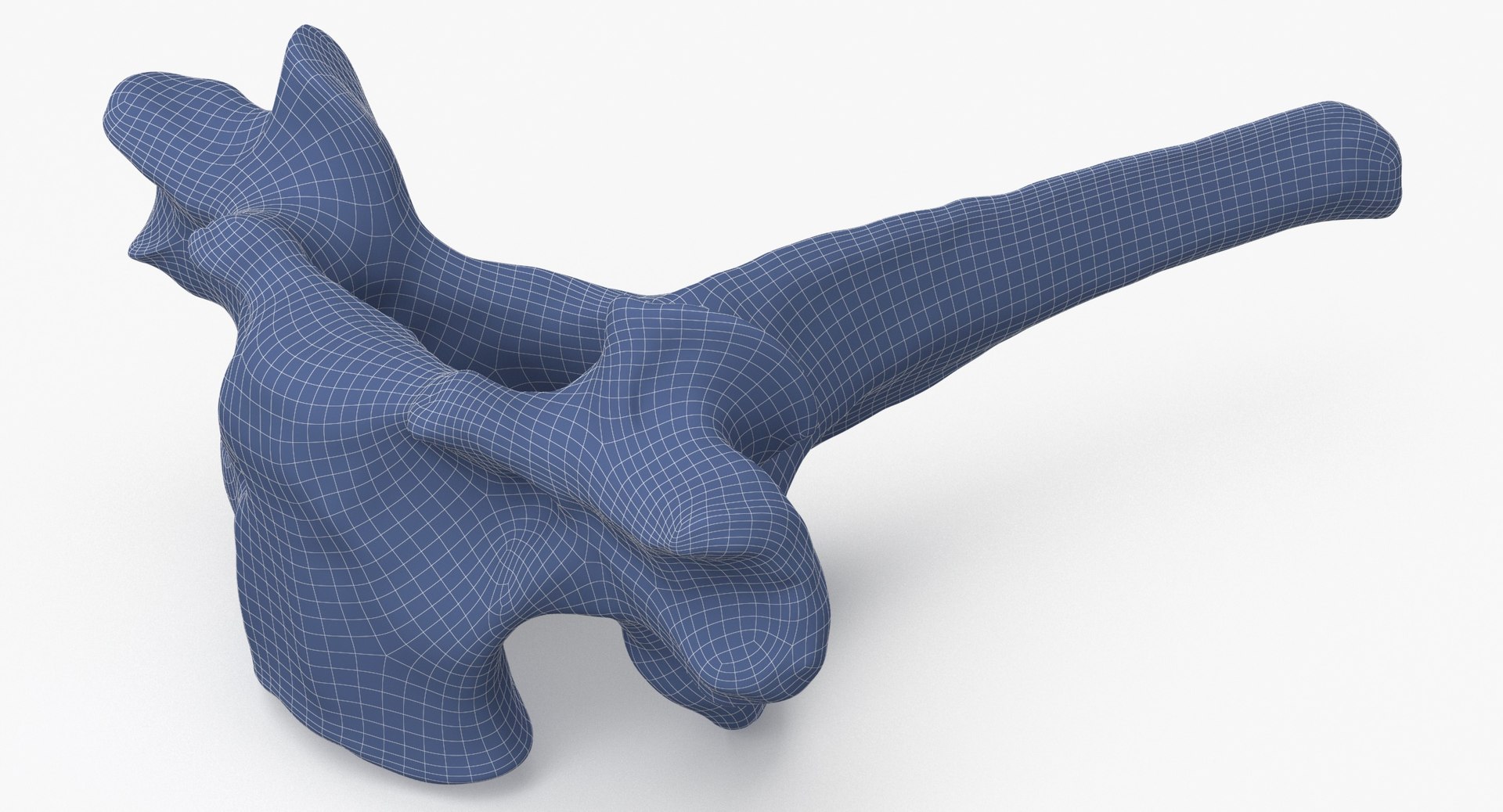 Kangaroo Red Necked Wallaby Thoracic Vertebrae TH1 3D model https://p.turbosquid.com/ts-thumb/Cc/N2HLrF/NB/kangaroo_red_necked_wallaby_thoracic_vertebrae_th1_wireframe_0006/jpg/1690456873/1920x1080/fit_q87/5d0e84781355e5b10d6c92d31d82529a435821f6/kangaroo_red_necked_wallaby_thoracic_vertebrae_th1_wireframe_0006.jpg