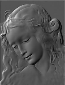 3D leonardo da vinci drawing