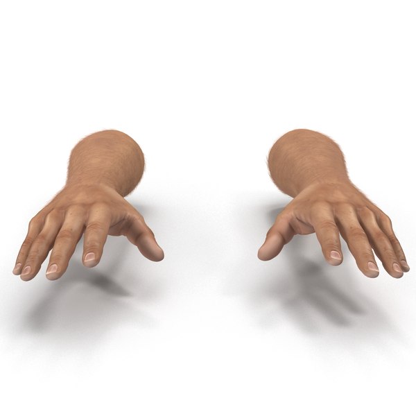 man hands fur 3d model